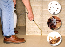 General Pest Control