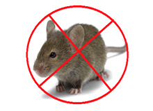 Rodent Control